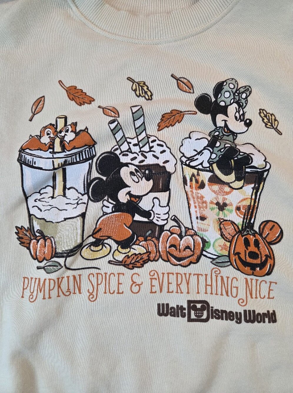 Walt Disney World Pumpkin Spice And Everything Nice Sweater - Picture 5 of 8